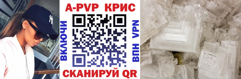дарнет шоп  Волгореченск  A PVP крисы CK 