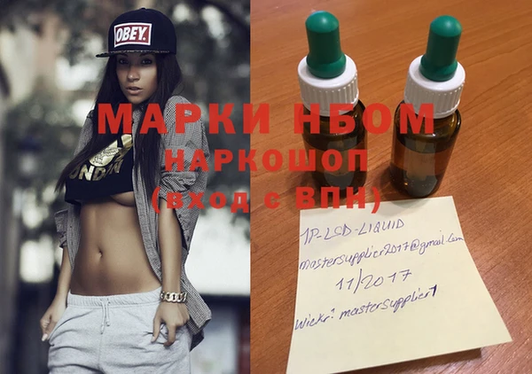 прущие грибы Верхний Тагил