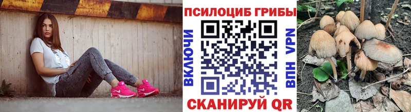 закладки  Волгореченск  Галлюциногенные грибы Psilocybe 